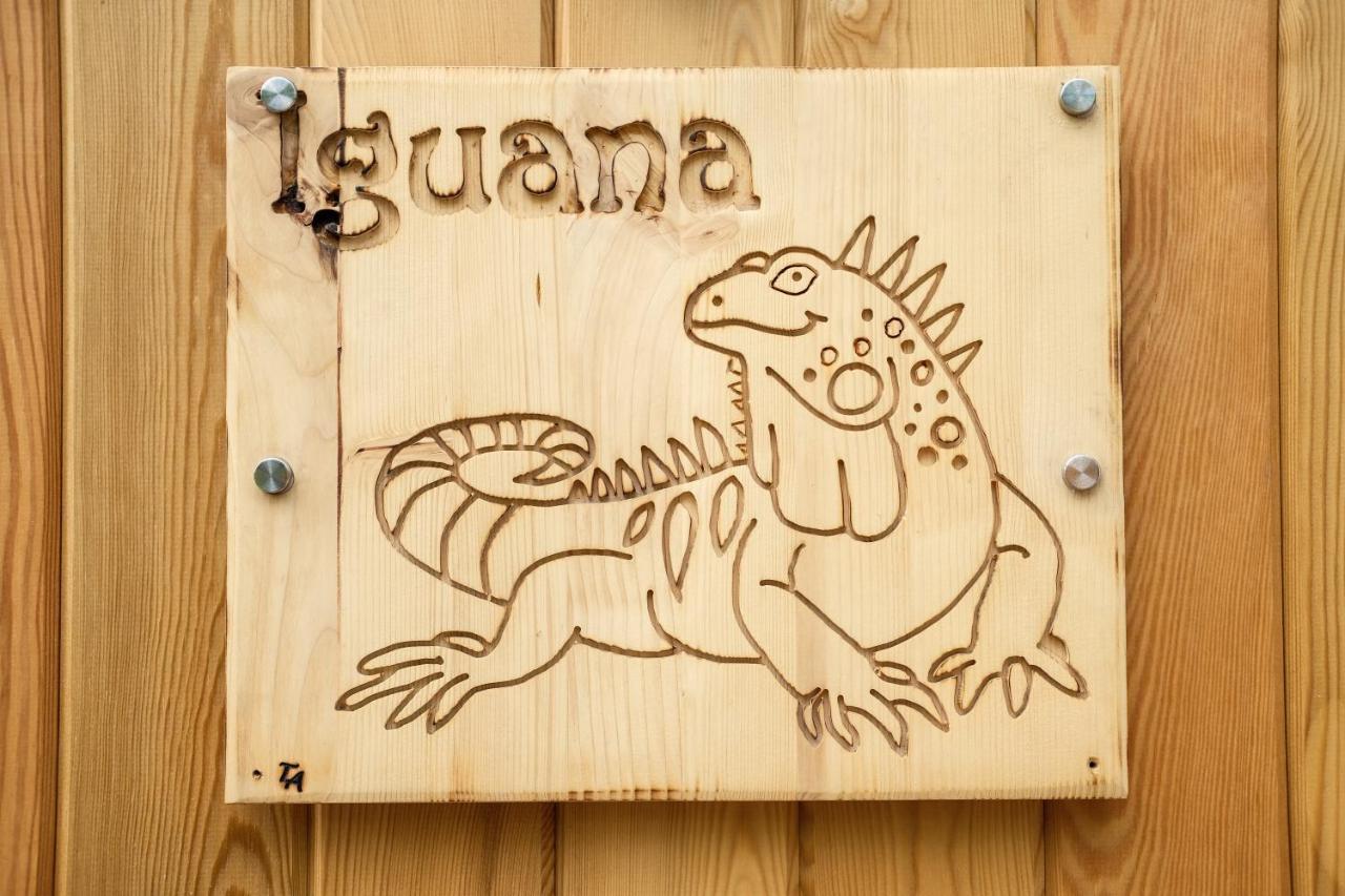 Iguana - Das Tiny Haus Am Reptilienzoo Reptilium Landau in der Pfalz Buitenkant foto